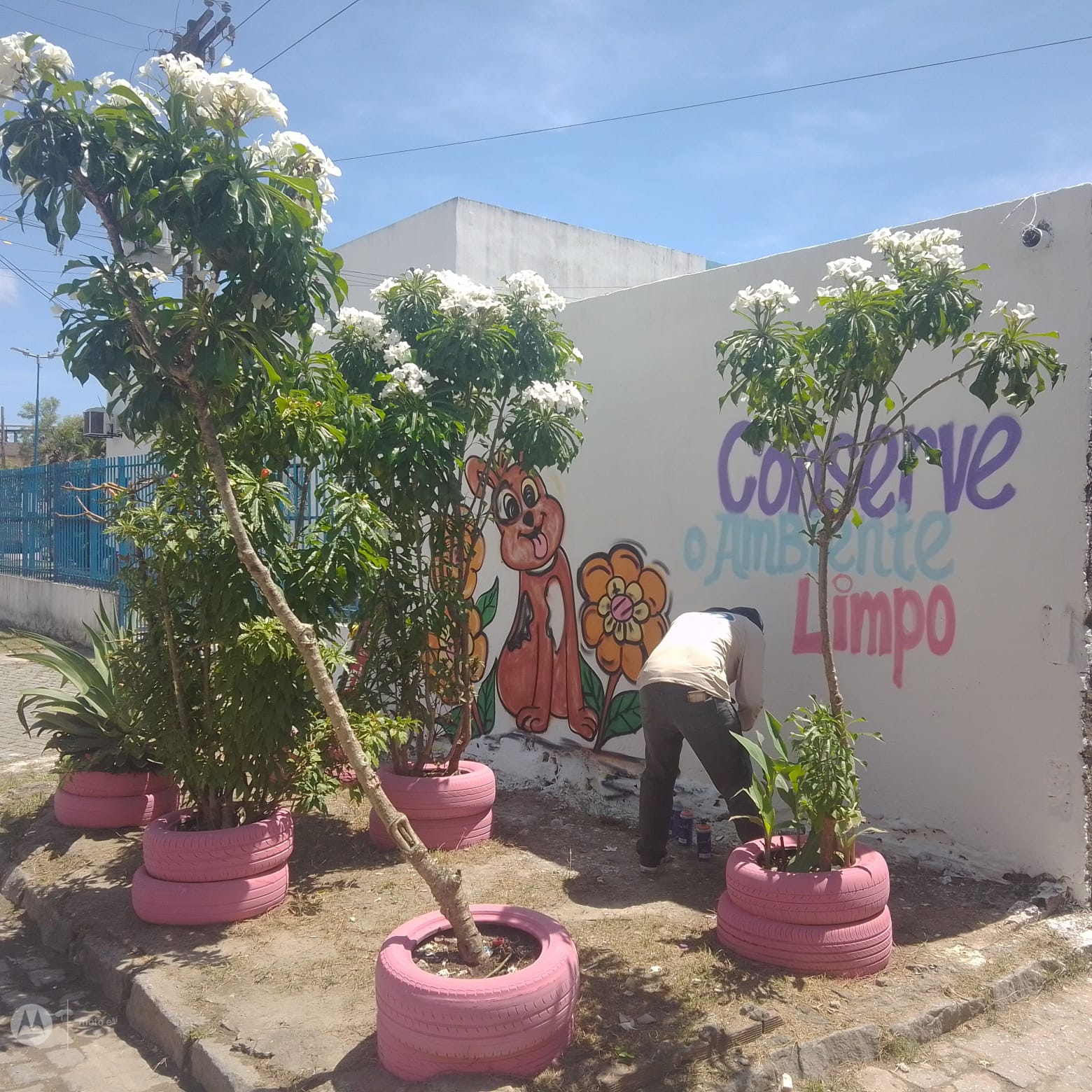 emlurb realiza sensibilização no hospital veterinario do recife