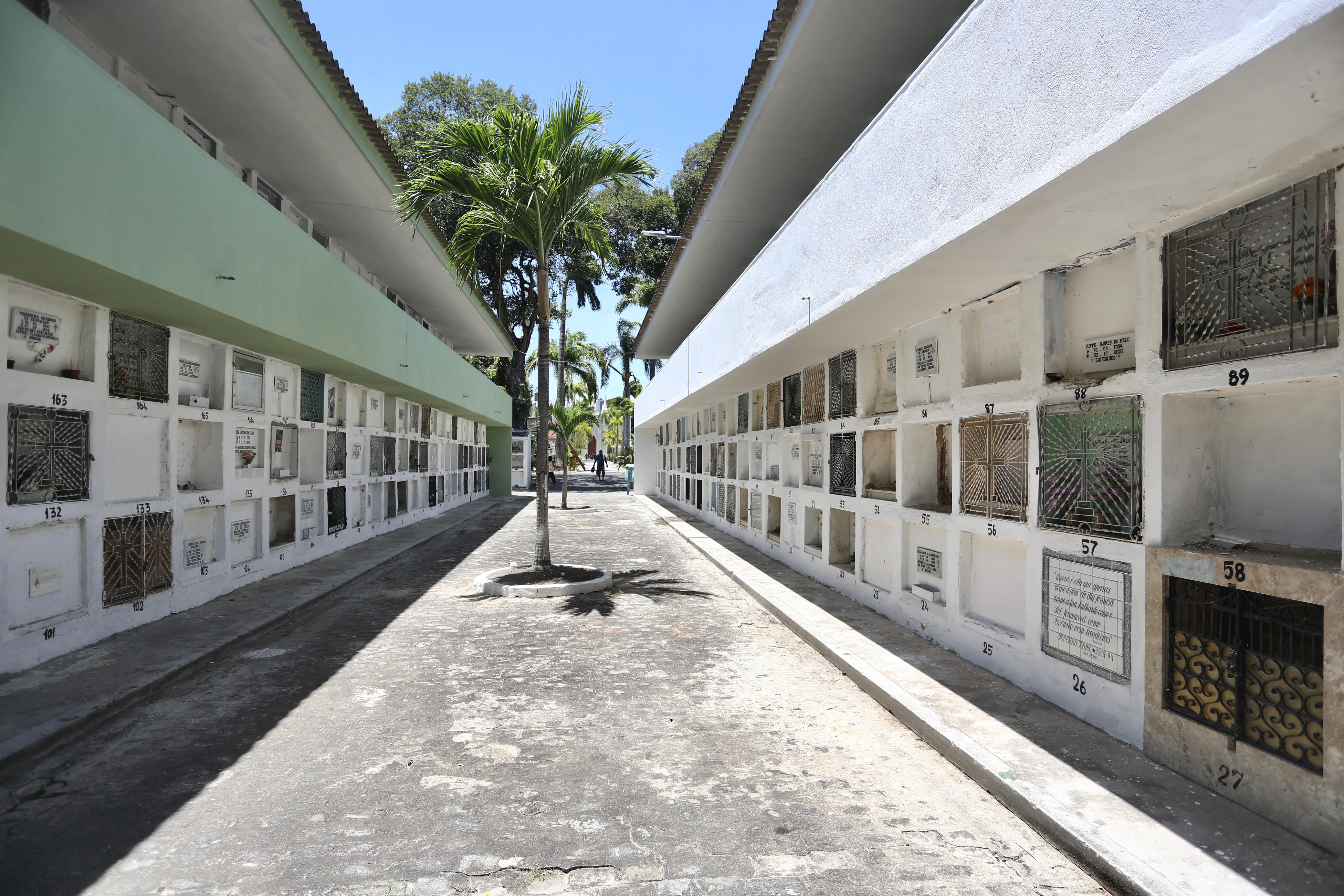 Prefeitura do Recife prepara cemitérios para o Dia de Finados