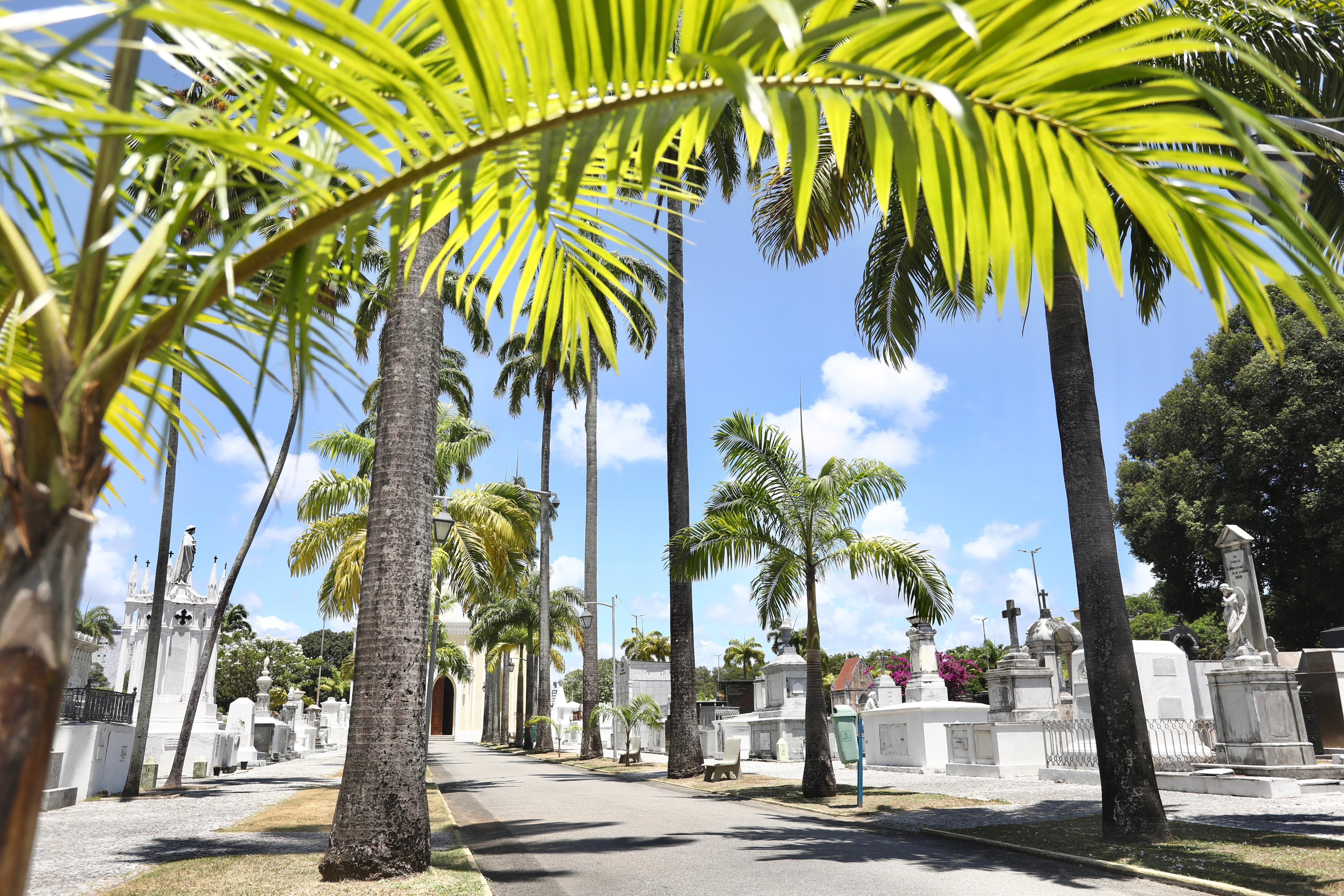 Prefeitura do Recife prepara cemitérios para o Dia de Finados