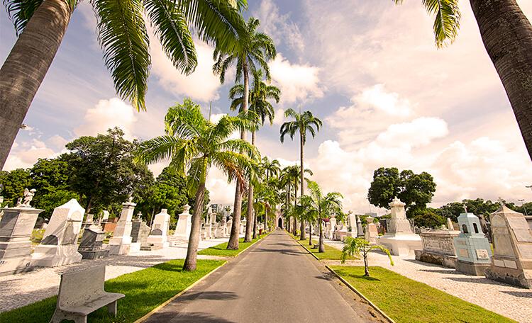 Prefeitura do Recife prepara cemitérios da cidade para o Dia de Finados