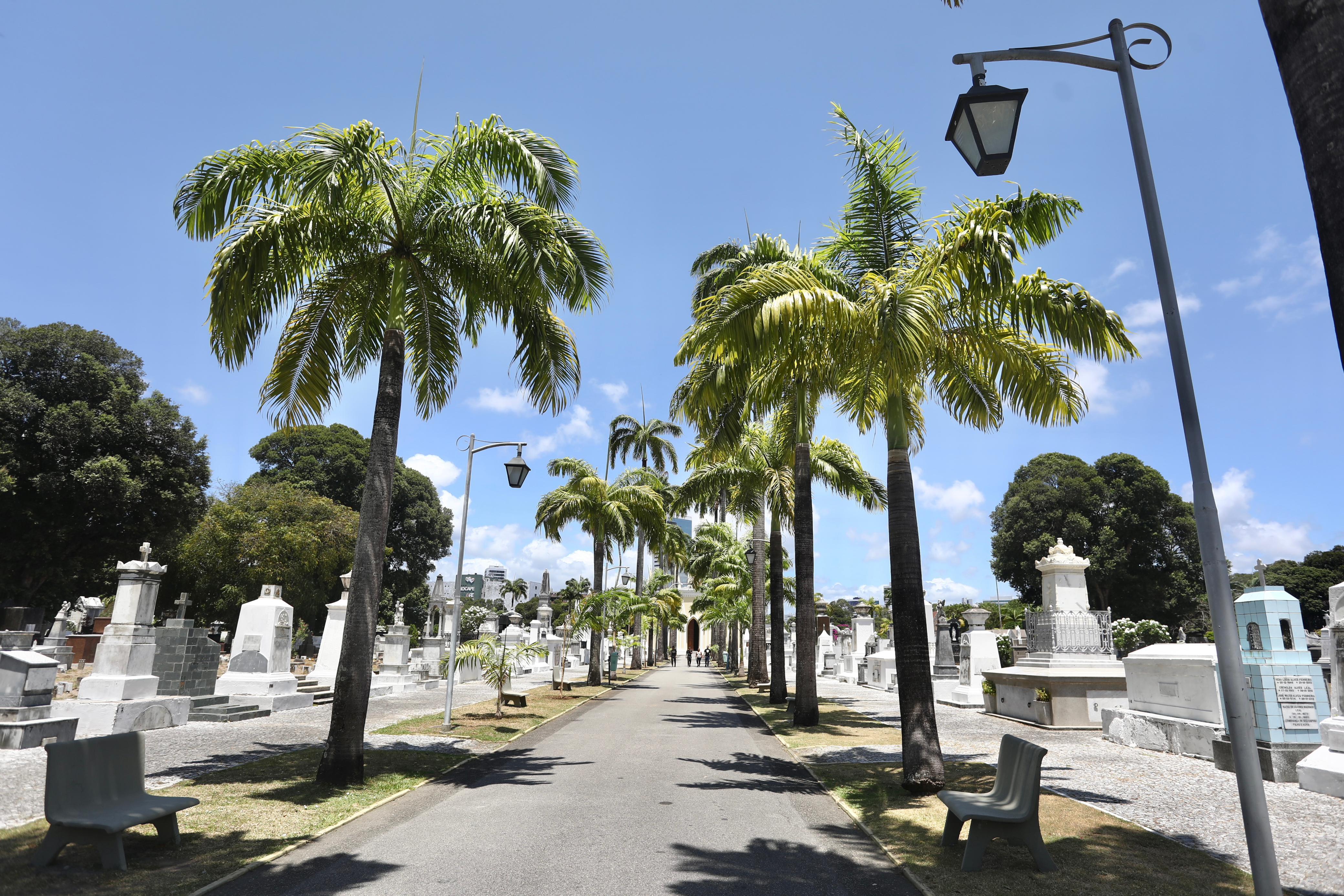 Prefeitura do Recife prepara cemitérios para o Dia de Finados