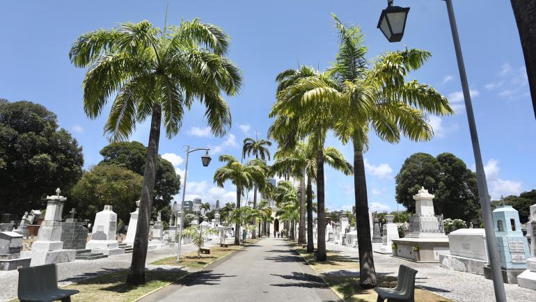 Prefeitura do Recife prepara cemitérios para o Dia de Finados